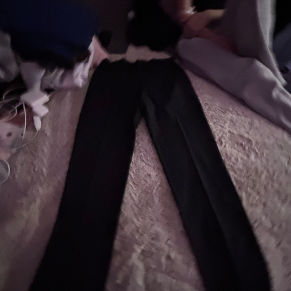 Dress pants